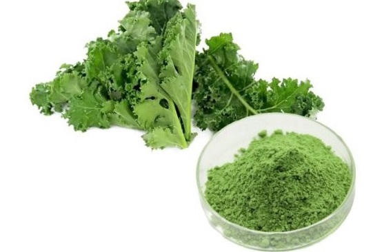 The reason why kale powder is considered a golden nutrition for health and beauty
